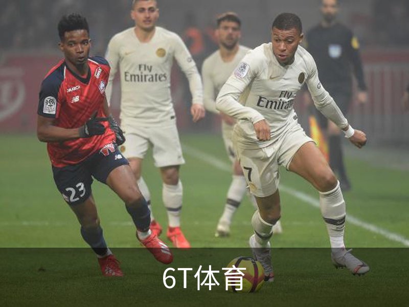 了解6T体育
